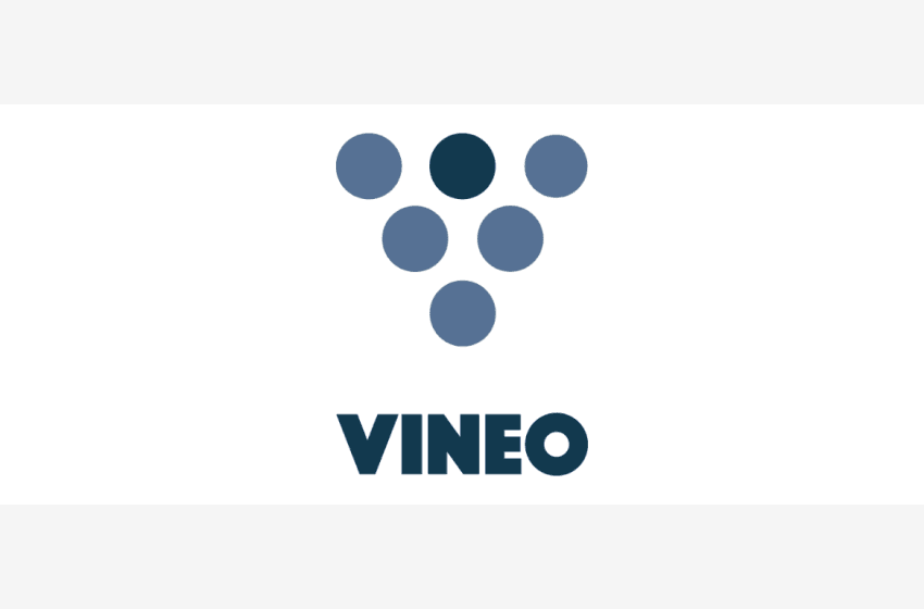  VINEO – Chef(fe) de marques vins et spiritueux